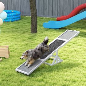 Dog Agility Ramp , Pet Seesaw