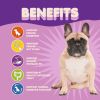 Probiotics for Dogs Puppies Extra Strength 9 Species 5 Billion CFU per Scoop of Dog Probiotics and Digestive Enzymes for Dogs Support Fiber for Dogs &