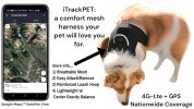 Rechargeable Waterproof Collar Mount GSM Tracking Device GPS for Dog Size:L