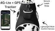 Rechargeable Waterproof Collar Mount GSM Tracking Device GPS for Dog Size:L