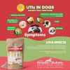 Dog Cranberry Supplement Natural Dog UTI Treatment & Kidney Support for Dogs Dog Supplement Powder Same as Cranberry Pills for Dogs. Puppy Supplies fo