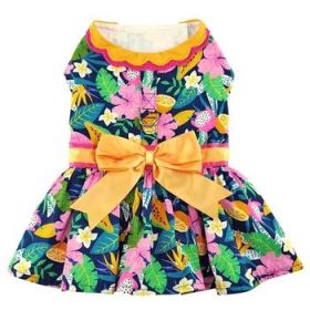 Fiesta Floral Dog Dress