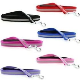 Basic Reflective Dog Leash (Option: cobalt blue)