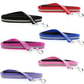 Basic Reflective Dog Leash - Raspberry Pink (Color: raspberry pink)